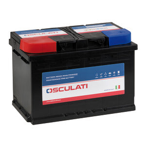 Batteria serie plus 65Ah COD 12.480.02