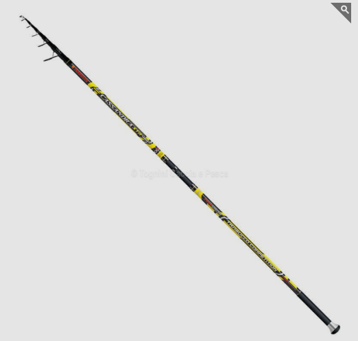 CASSANDRA XTR